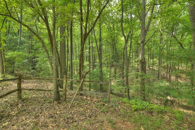 7.89 AC Laurel Springs Road, Mineral Bluff, GA 30559