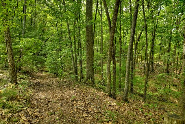 7.89 AC Laurel Springs Road, Mineral Bluff, GA 30559