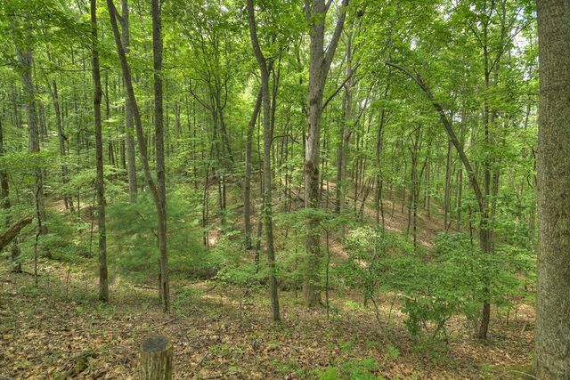 7.89 AC Laurel Springs Road, Mineral Bluff, GA 30559