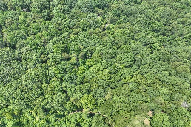 7.89 AC Laurel Springs Road, Mineral Bluff, GA 30559