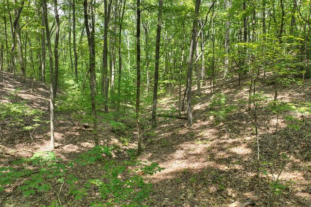 7.89 AC Laurel Springs Road, Mineral Bluff, GA 30559