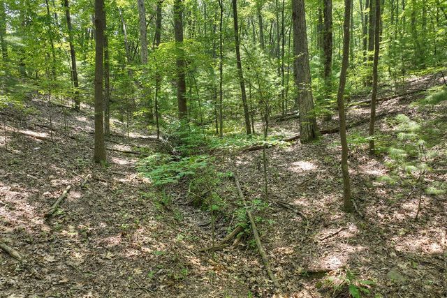 7.89 AC Laurel Springs Road, Mineral Bluff, GA 30559