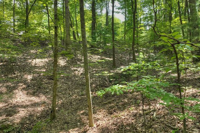 7.89 AC Laurel Springs Road, Mineral Bluff, GA 30559