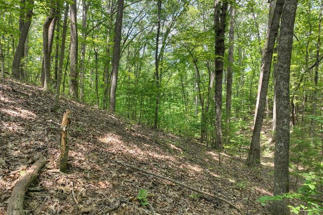 7.89 AC Laurel Springs Road, Mineral Bluff, GA 30559