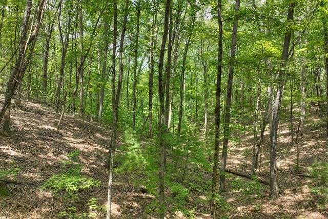 7.89 AC Laurel Springs Road, Mineral Bluff, GA 30559