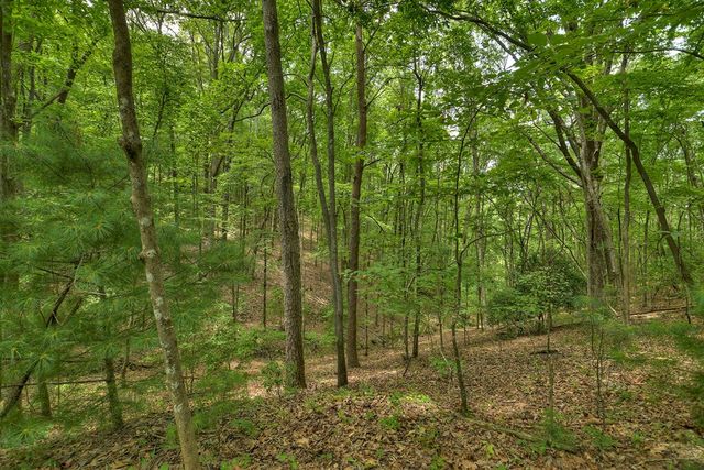 7.89 AC Laurel Springs Road, Mineral Bluff, GA 30559