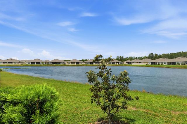17804 TURNING LEAF CIRCLE, Land O Lakes, FL 34638
