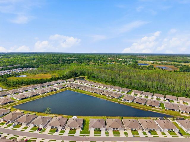 17804 TURNING LEAF CIRCLE, Land O Lakes, FL 34638