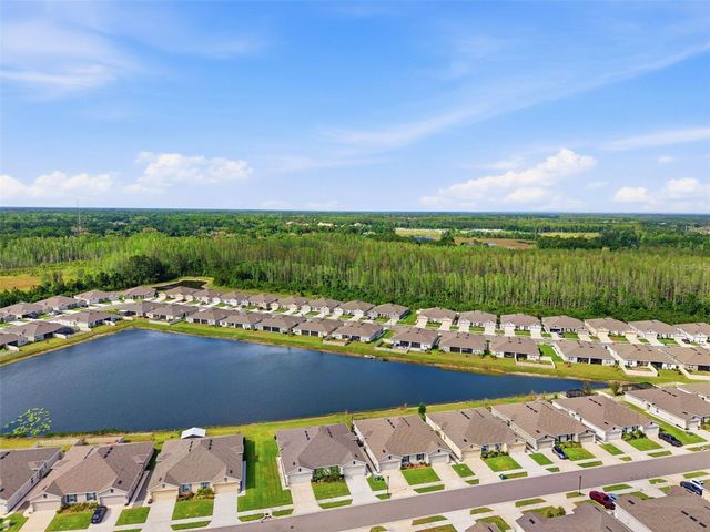 17804 TURNING LEAF CIRCLE, Land O Lakes, FL 34638
