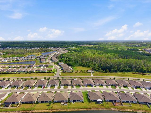 17804 TURNING LEAF CIRCLE, Land O Lakes, FL 34638