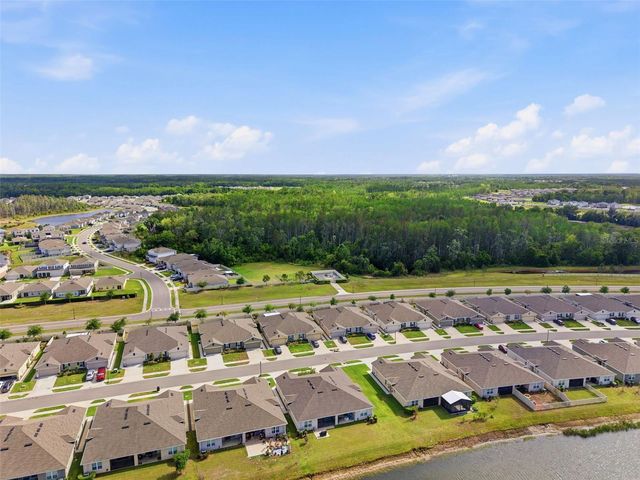 17804 TURNING LEAF CIRCLE, Land O Lakes, FL 34638