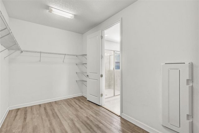 13315 ORCA SOUND DRIVE, Riverview, FL 33579