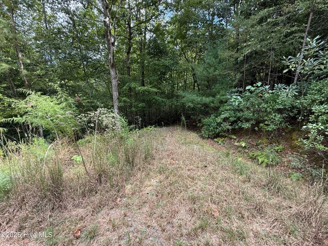 190 Leisey Lane, Murphy, NC 28906