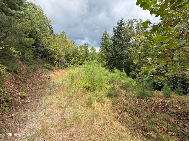 190 Leisey Lane, Murphy, NC 28906