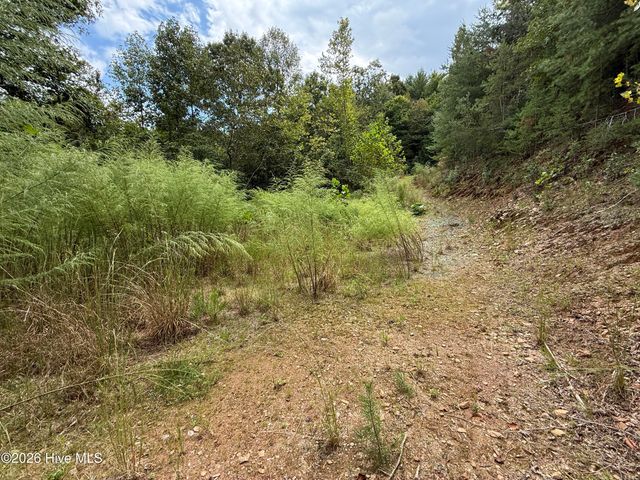 190 Leisey Lane, Murphy, NC 28906