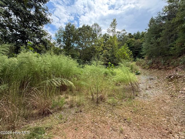 190 Leisey Lane, Murphy, NC 28906