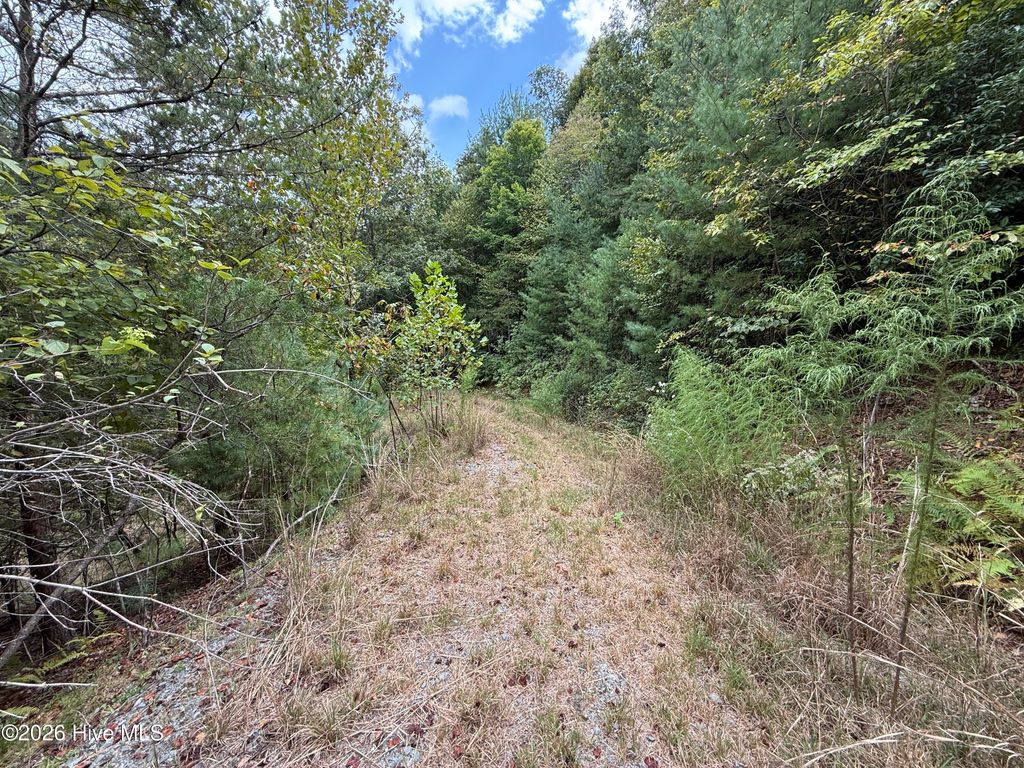 190 Leisey Lane, Murphy, NC 28906