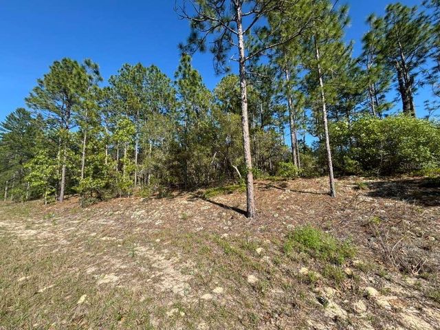 9161 N MARCUS WAY, Citrus Springs, FL 34433