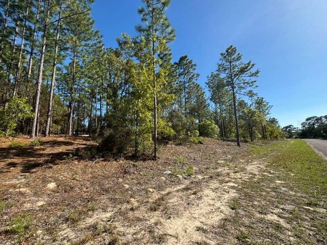 9161 N MARCUS WAY, Citrus Springs, FL 34433