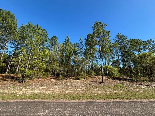 9161 N MARCUS WAY, Citrus Springs, FL 34433