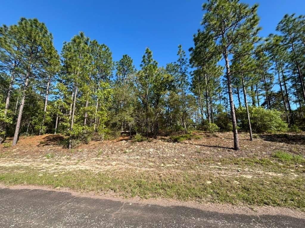 9161 N MARCUS WAY, Citrus Springs, FL 34433