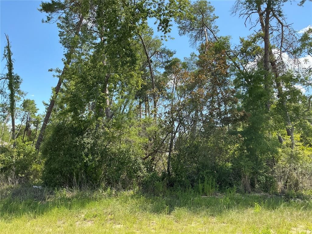 SW 21ST TERRACE, Ocala, FL 34473