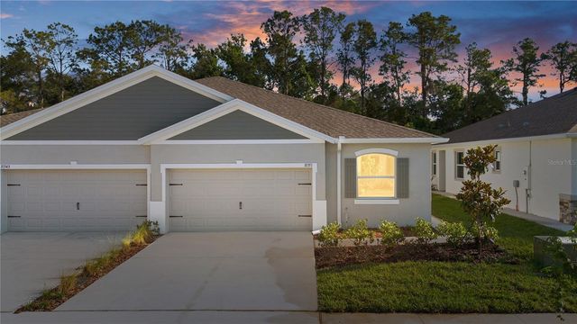31351 PAPER BIRCH STREET, Wesley Chapel, FL 33545