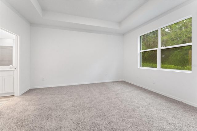 31351 PAPER BIRCH STREET, Wesley Chapel, FL 33545