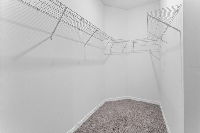 31351 PAPER BIRCH STREET, Wesley Chapel, FL 33545