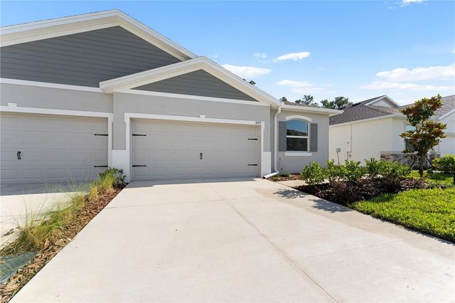 31351 PAPER BIRCH STREET, Wesley Chapel, FL 33545