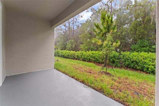 31351 PAPER BIRCH STREET, Wesley Chapel, FL 33545