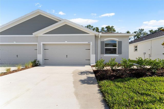 31351 PAPER BIRCH STREET, Wesley Chapel, FL 33545