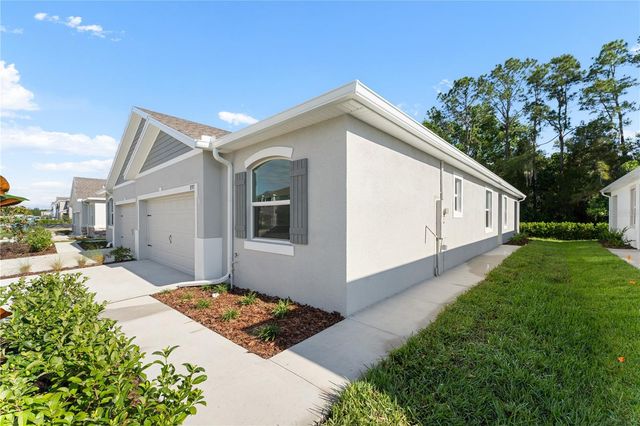 31351 PAPER BIRCH STREET, Wesley Chapel, FL 33545