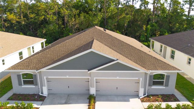 31351 PAPER BIRCH STREET, Wesley Chapel, FL 33545