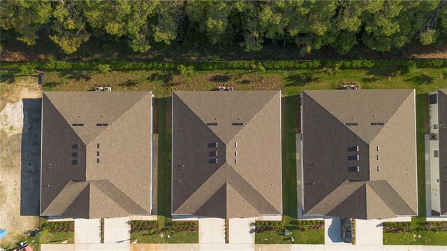31351 PAPER BIRCH STREET, Wesley Chapel, FL 33545