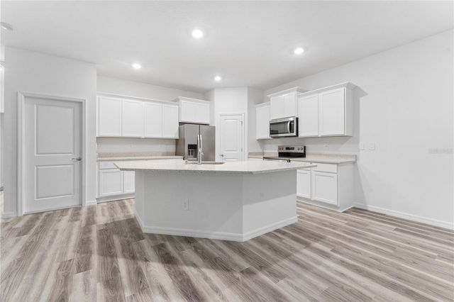 31351 PAPER BIRCH STREET, Wesley Chapel, FL 33545