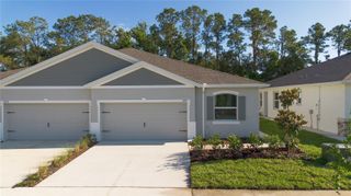 31351 PAPER BIRCH STREET, Wesley Chapel, FL 33545