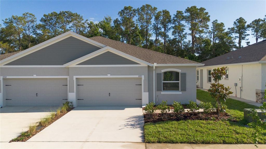 31351 PAPER BIRCH STREET, Wesley Chapel, FL 33545