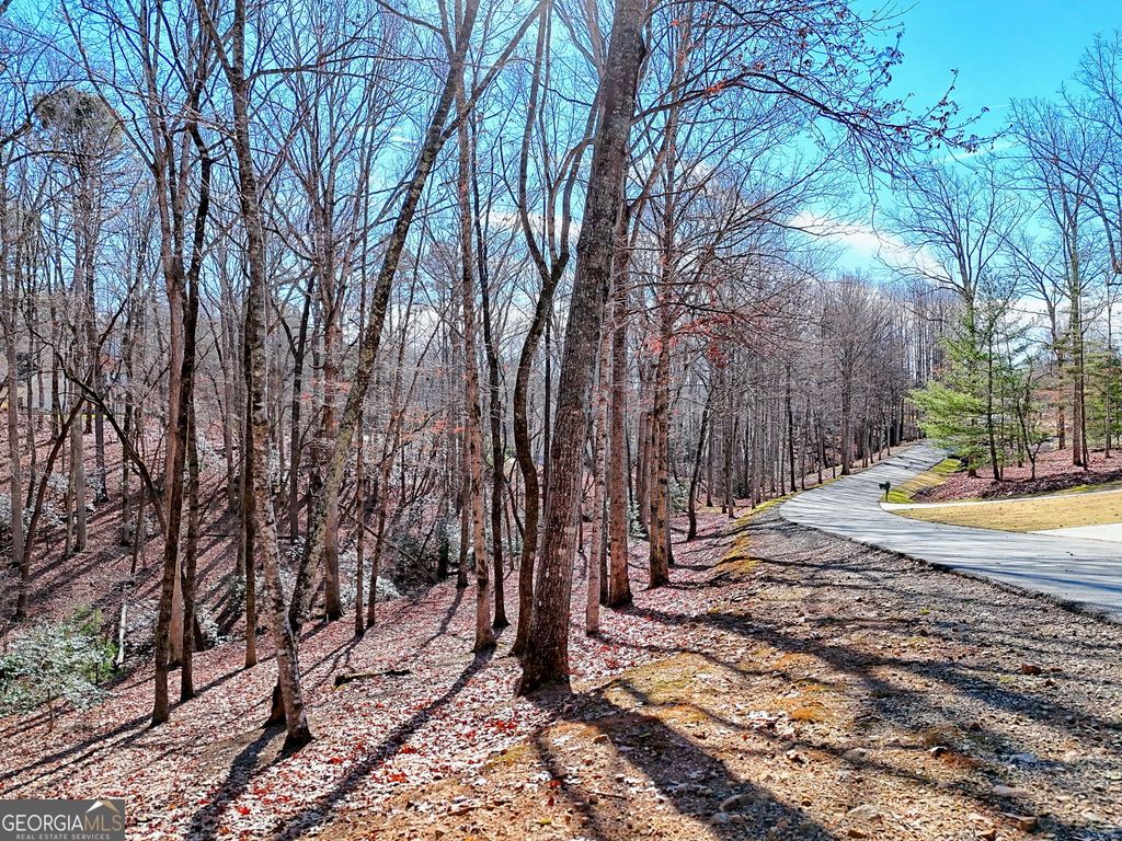 0 Rome Beauty Lane 1106, Clarkesville, GA 30523 — exterior