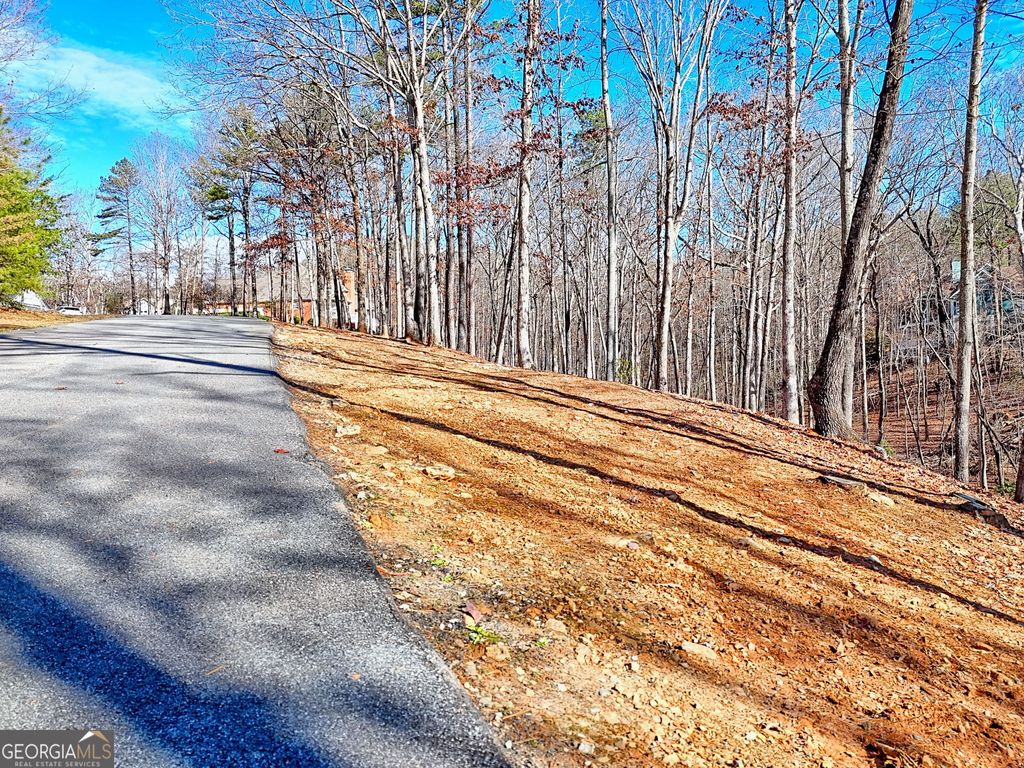 0 Rome Beauty Lane 1106, Clarkesville, GA 30523 — photo 3