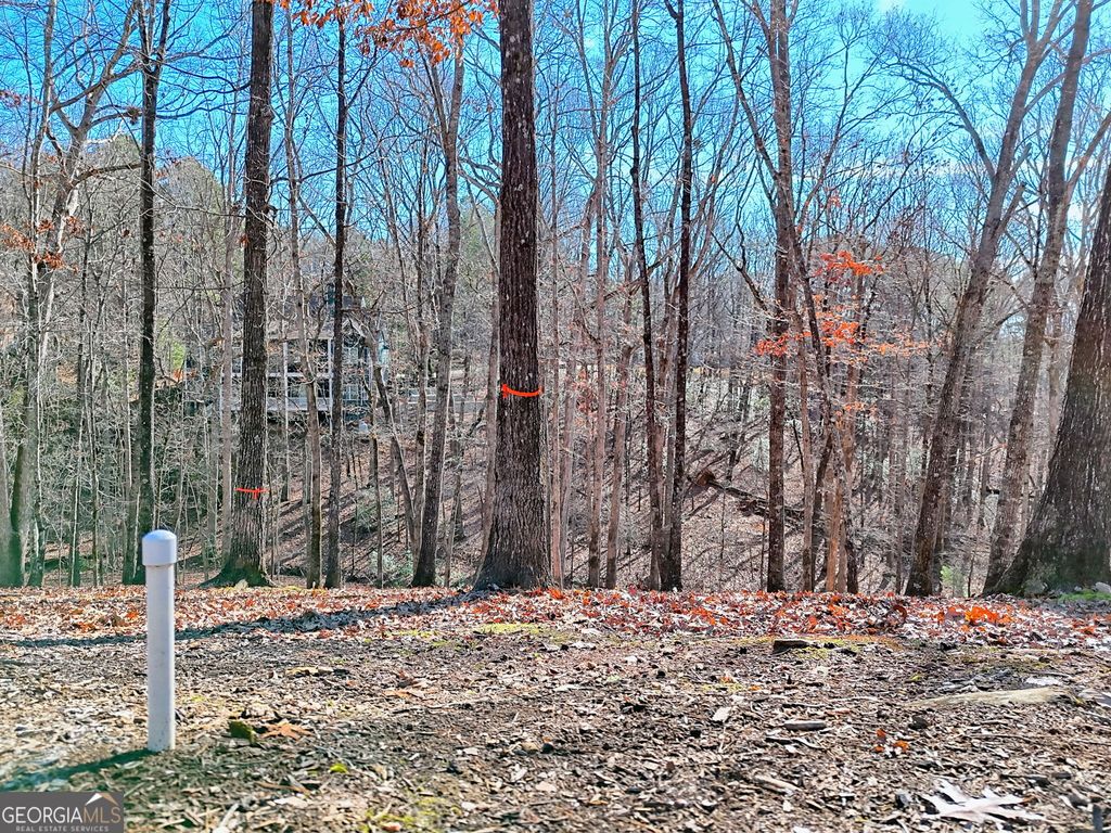 0 Rome Beauty Lane 1106, Clarkesville, GA 30523 — photo 4