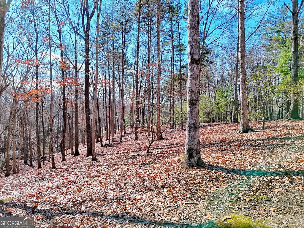 0 Rome Beauty Lane 1106, Clarkesville, GA 30523 — photo 5