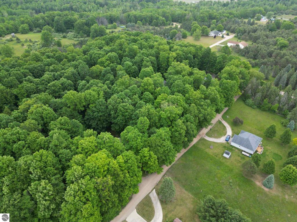 Image 4 of property listing at TBD Juniper Drive, Farwell, MI 48622