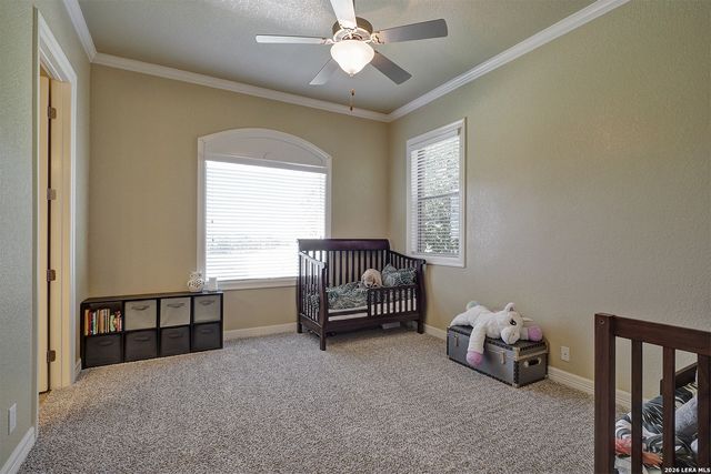 2629 Camel, New Braunfels, TX 78132