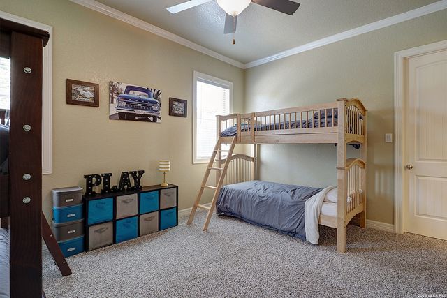 2629 Camel, New Braunfels, TX 78132