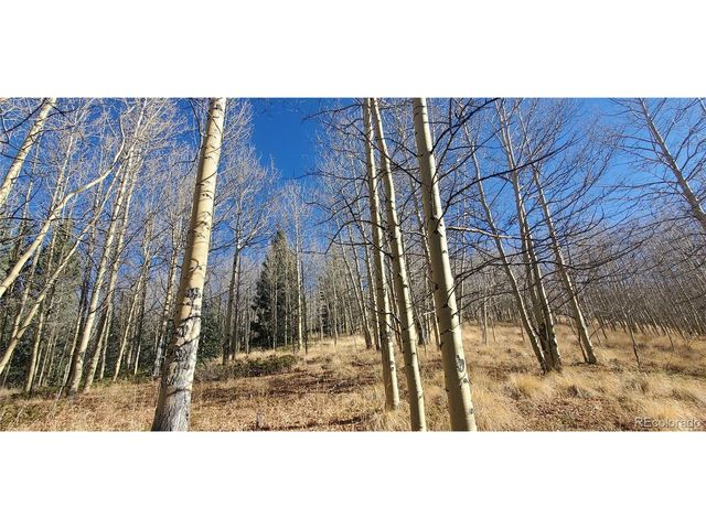 6414 Bronfman Rd, Fort Garland, CO 81133