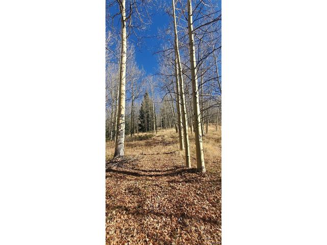 6414 Bronfman Rd, Fort Garland, CO 81133