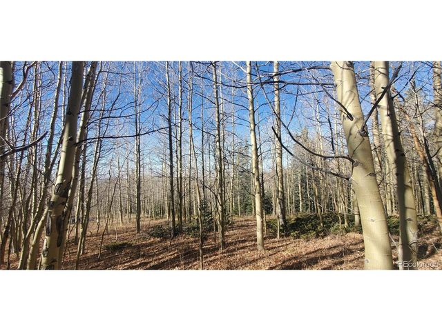 6414 Bronfman Rd, Fort Garland, CO 81133