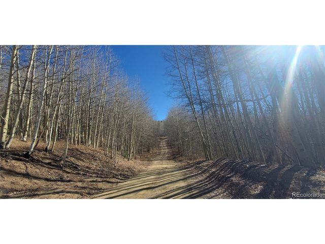 6414 Bronfman Rd, Fort Garland, CO 81133