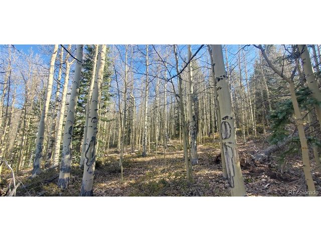 6414 Bronfman Rd, Fort Garland, CO 81133